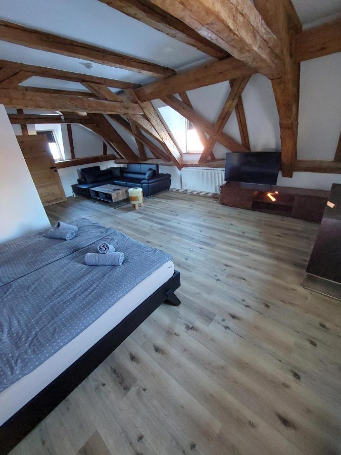 Villa Celnice Český Krumlov Eksteriør billede