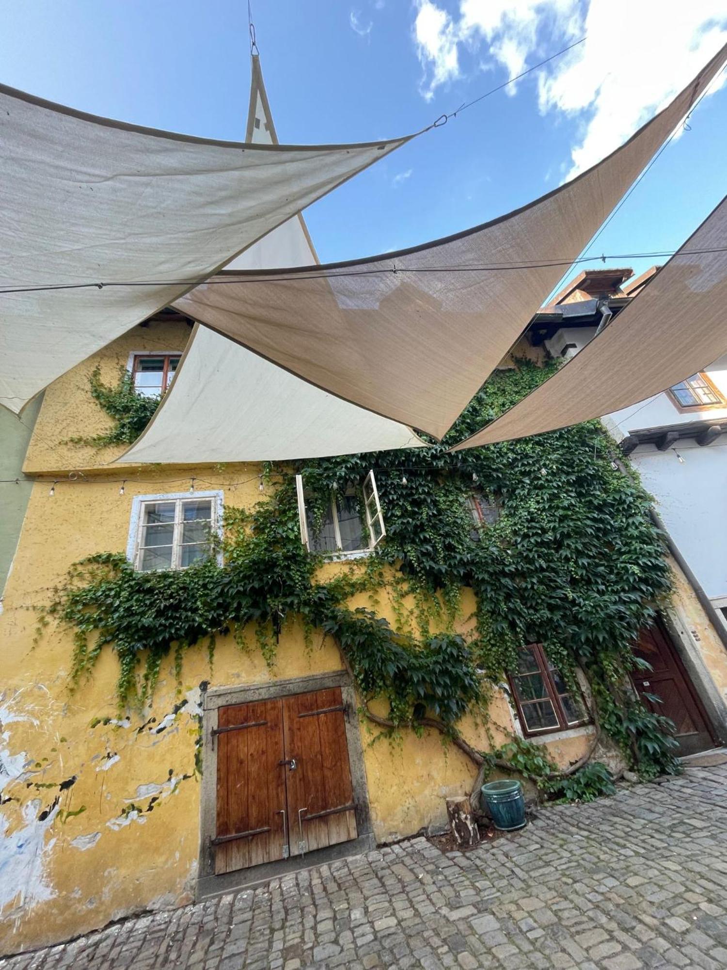 Villa Celnice Český Krumlov Eksteriør billede