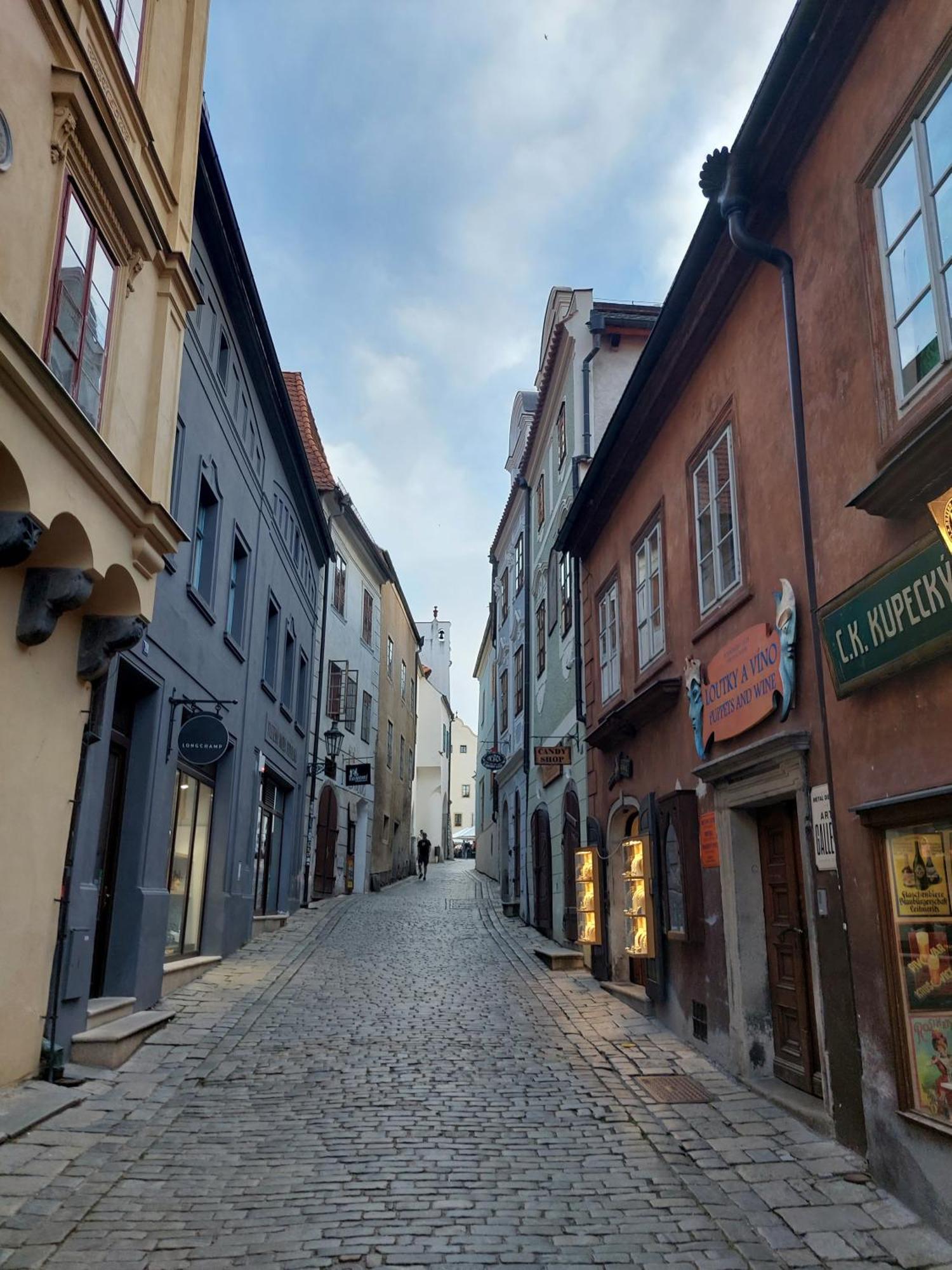 Villa Celnice Český Krumlov Eksteriør billede